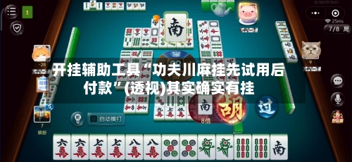 开挂辅助工具“功夫川麻挂先试用后付款”(透视)其实确实有挂-第1张图片