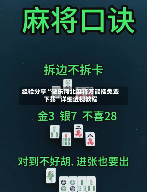经验分享“微乐河北麻将万能挂免费下载”详细透视教程-第3张图片