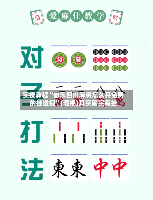 实操教程“微乐四川麻将怎么开免费的挂透视”(透视)其实确实有挂-第2张图片