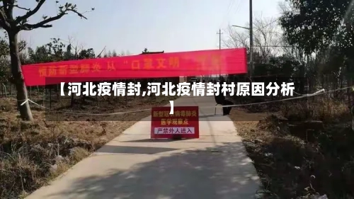 【河北疫情封,河北疫情封村原因分析】-第3张图片