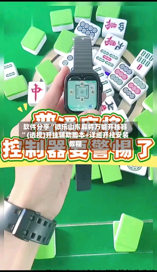 软件分享“微乐山东麻将万能开挂器”(透视)开挂辅助脚本+详细开挂安装教程-第2张图片