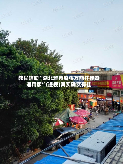 教程辅助“湖北雅苑麻将万能开挂器通用版”(透视)其实确实有挂-第2张图片