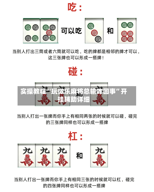 实操教程“玩微乐麻将总输咋回事”开挂辅助详细-第2张图片