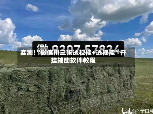 实测!“微信拼三张透视挂+透视挂”开挂辅助软件教程-第1张图片