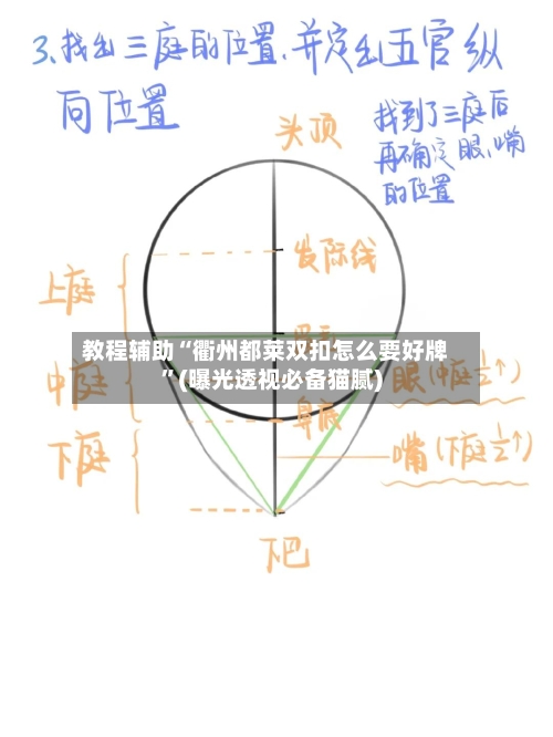 教程辅助“衢州都莱双扣怎么要好牌”(曝光透视必备猫腻)-第2张图片