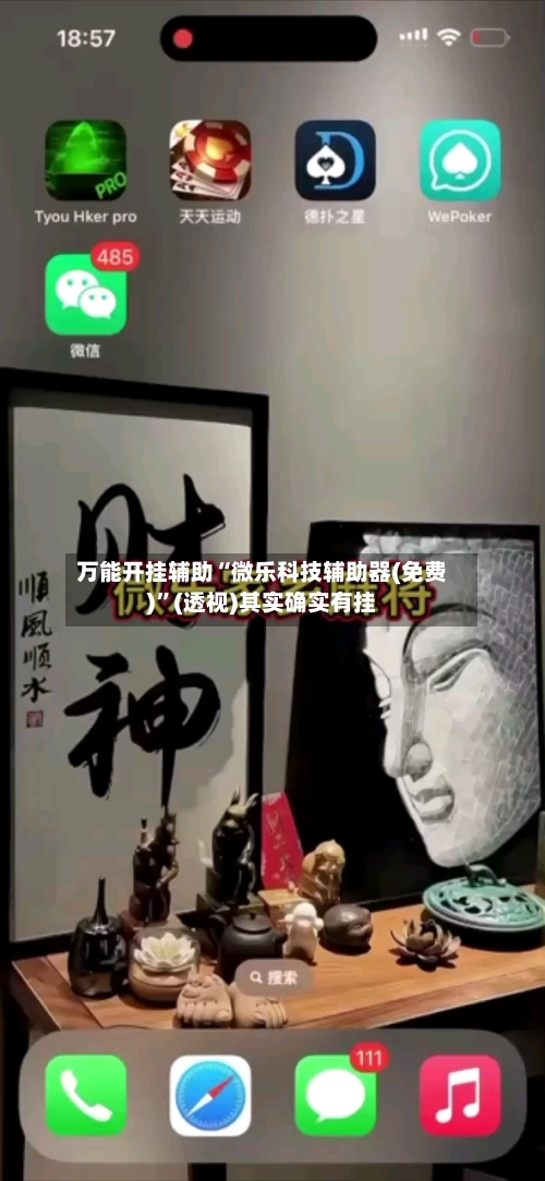 万能开挂辅助“微乐科技辅助器(免费)	”(透视)其实确实有挂-第2张图片