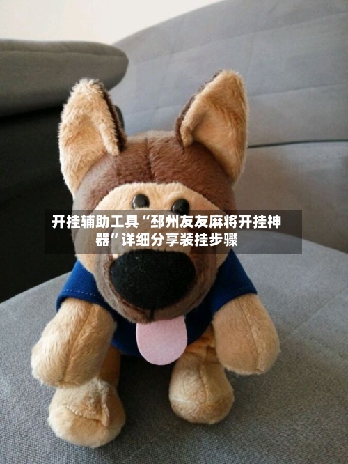 开挂辅助工具“邳州友友麻将开挂神器”详细分享装挂步骤-第3张图片