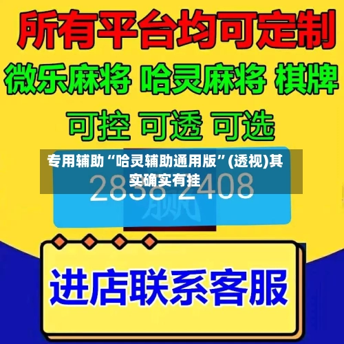 专用辅助“哈灵辅助通用版	”(透视)其实确实有挂-第2张图片