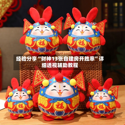 经验分享“财神13张自建房开胜率	”详细透视辅助教程-第2张图片