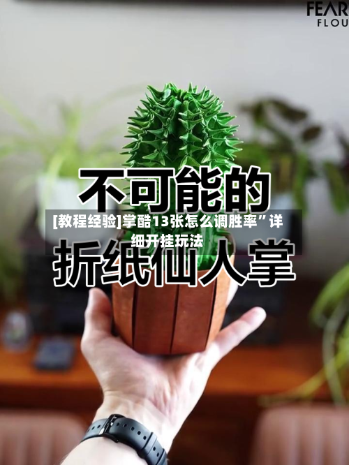 [教程经验]掌酷13张怎么调胜率	”详细开挂玩法-第2张图片