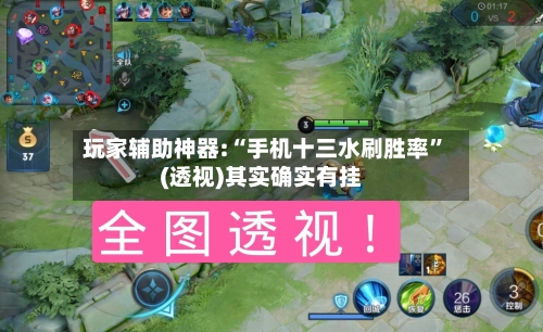 玩家辅助神器:“手机十三水刷胜率	”(透视)其实确实有挂-第1张图片