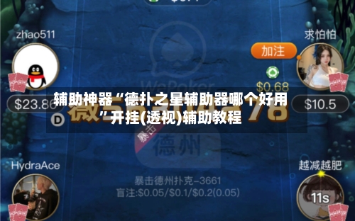 辅助神器“德扑之星辅助器哪个好用”开挂(透视)辅助教程-第3张图片