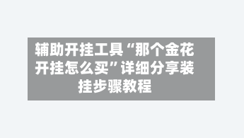 辅助开挂工具“那个金花开挂怎么买	”详细分享装挂步骤教程-第2张图片