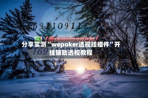 分享实测“wepoker透视挂插件”开挂辅助透视教程-第1张图片