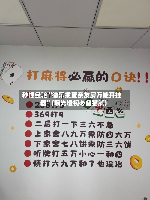 秒懂经验“微乐掼蛋亲友房万能开挂器”(曝光透视必备猫腻)-第1张图片