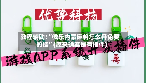 教程辅助!“微乐内蒙麻将怎么开免费的挂”(原来确实是有插件)-第2张图片
