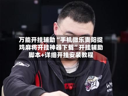 万能开挂辅助“手机微乐贵阳捉鸡麻将开挂神器下载”开挂辅助脚本+详细开挂安装教程-第2张图片