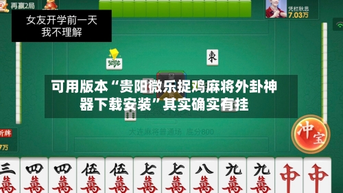 可用版本“贵阳微乐捉鸡麻将外卦神器下载安装	”其实确实有挂-第2张图片