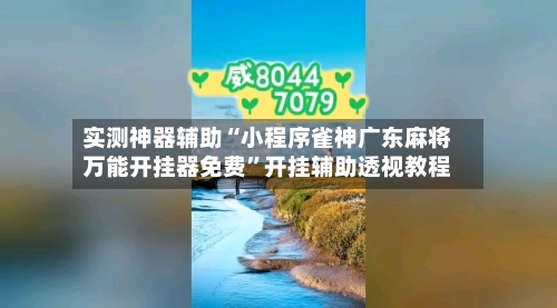 实测神器辅助“小程序雀神广东麻将万能开挂器免费”开挂辅助透视教程-第3张图片