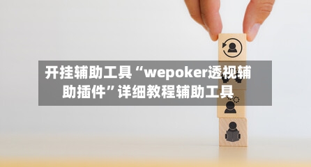 开挂辅助工具“wepoker透视辅助插件”详细教程辅助工具-第3张图片