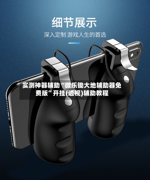 实测神器辅助“微乐锄大地辅助器免费版”开挂(透视)辅助教程-第3张图片