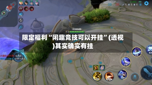 限定福利“闲趣竞技可以开挂”(透视)其实确实有挂-第3张图片