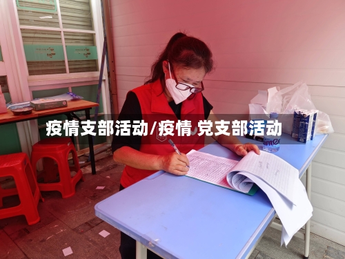 疫情支部活动/疫情 党支部活动-第1张图片