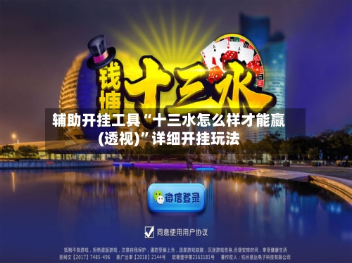 辅助开挂工具“十三水怎么样才能赢(透视)”详细开挂玩法-第3张图片