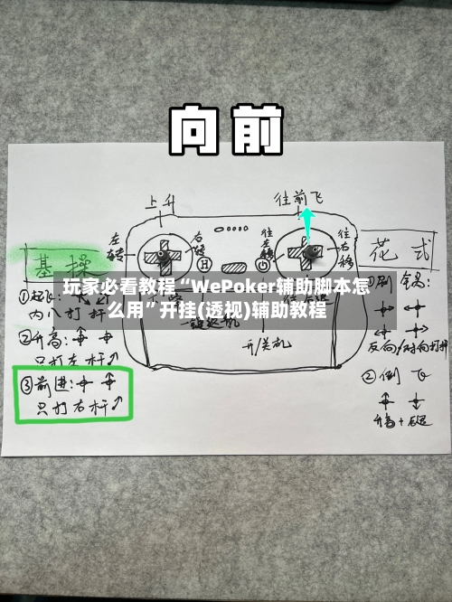 玩家必看教程“WePoker辅助脚本怎么用”开挂(透视)辅助教程-第1张图片