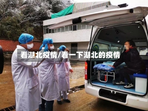看湖北疫情/看一下湖北的疫情-第1张图片