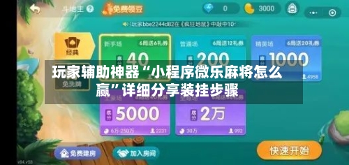 玩家辅助神器“小程序微乐麻将怎么赢	”详细分享装挂步骤-第2张图片