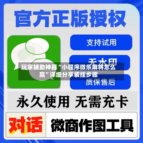 玩家辅助神器“小程序微乐麻将怎么赢”详细分享装挂步骤-第1张图片