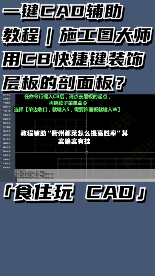 教程辅助“衢州都莱怎么提高胜率”其实确实有挂-第2张图片