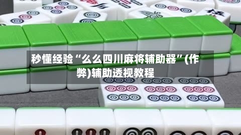 秒懂经验“么么四川麻将辅助器”(作弊)辅助透视教程-第3张图片