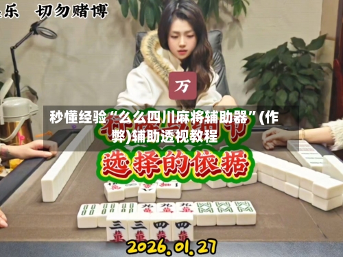 秒懂经验“么么四川麻将辅助器”(作弊)辅助透视教程-第2张图片