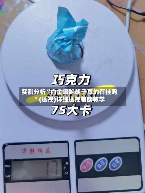 实测分析“白金岛跑胡子真的有挂吗	”(透视)详细透视辅助教学-第2张图片