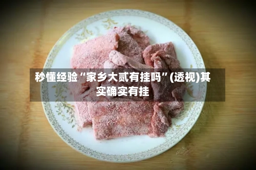 秒懂经验“家乡大贰有挂吗”(透视)其实确实有挂-第1张图片