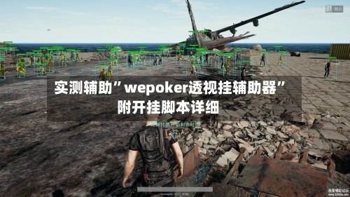 实测辅助”wepoker透视挂辅助器”附开挂脚本详细-第1张图片