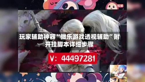 玩家辅助神器“微乐游戏透视辅助”附开挂脚本详细步骤-第3张图片