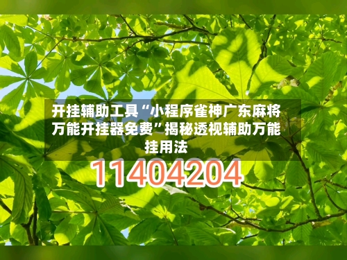 开挂辅助工具“小程序雀神广东麻将万能开挂器免费”揭秘透视辅助万能挂用法-第3张图片