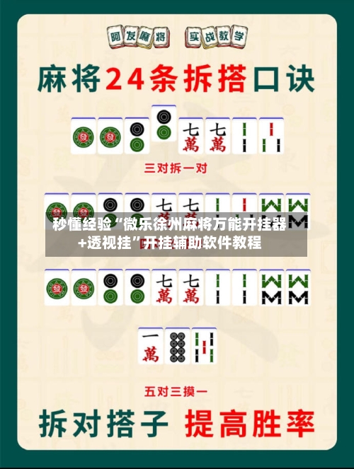 秒懂经验“微乐徐州麻将万能开挂器+透视挂”开挂辅助软件教程-第1张图片