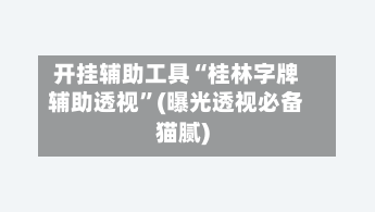 开挂辅助工具“桂林字牌辅助透视”(曝光透视必备猫腻)-第3张图片