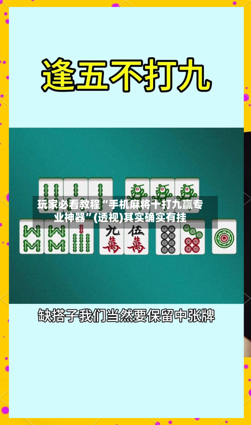 玩家必看教程“手机麻将十打九赢专业神器”(透视)其实确实有挂-第3张图片