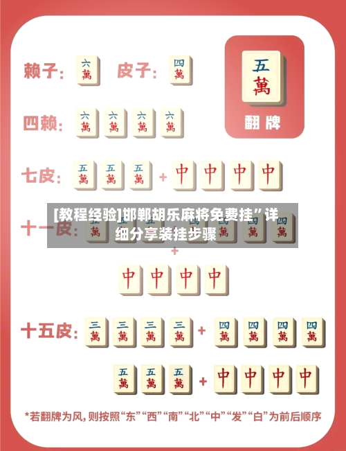 [教程经验]邯郸胡乐麻将免费挂”详细分享装挂步骤-第2张图片