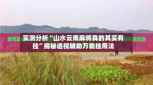 实测分析“山水云南麻将真的其实有挂”揭秘透视辅助万能挂用法-第2张图片