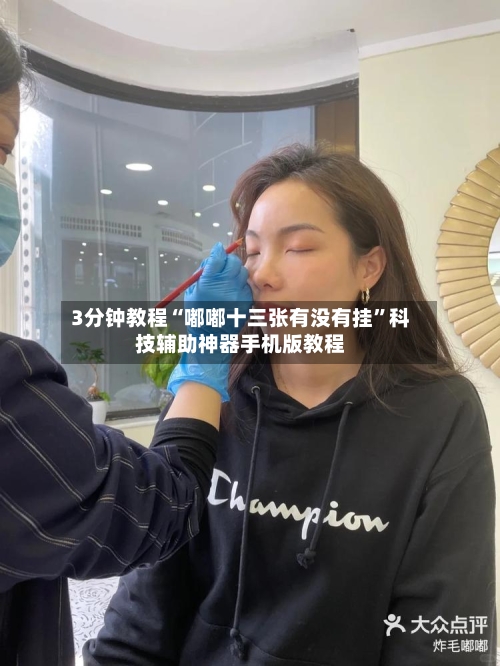 3分钟教程“嘟嘟十三张有没有挂”科技辅助神器手机版教程-第2张图片