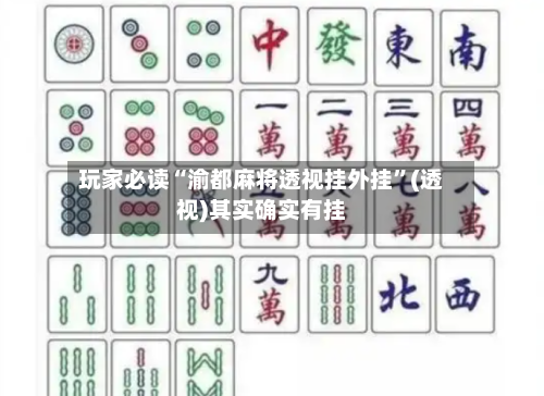 玩家必读“渝都麻将透视挂外挂	”(透视)其实确实有挂-第2张图片