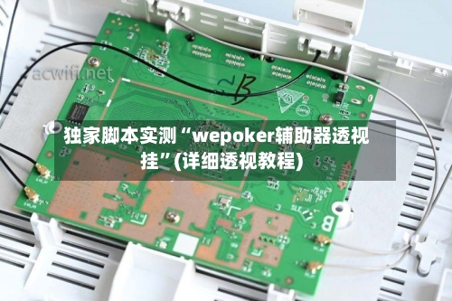 独家脚本实测“wepoker辅助器透视挂	”(详细透视教程)-第2张图片