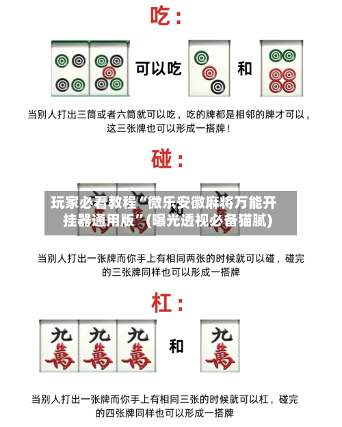 玩家必看教程“微乐安徽麻将万能开挂器通用版”(曝光透视必备猫腻)-第2张图片