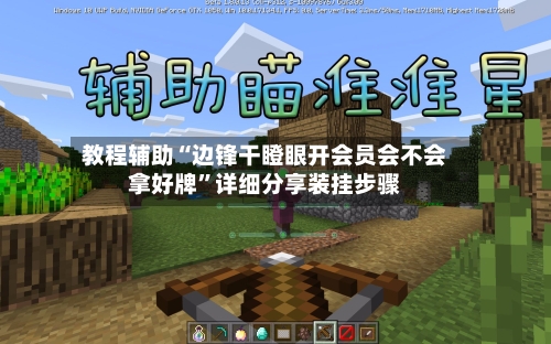 教程辅助“边锋干瞪眼开会员会不会拿好牌”详细分享装挂步骤-第1张图片